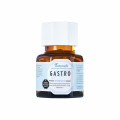 NATURAFIT Gastro Kapseln